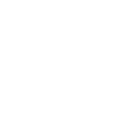 Project Management