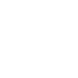Automation & AI Insights